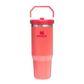 Gertuvė STANLEY CLASSIC The IceFlow (0.89 l)