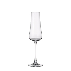 Taurės šampanui IDUNA (250 ml. 6vnt)