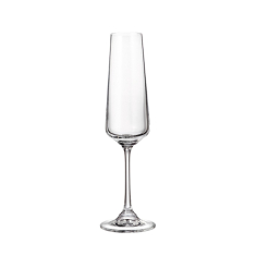 Šampusepokaalid CORVUS (6 tk, 160 ml)