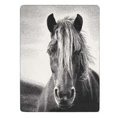 Tekk "ANIMAL LOVE" (150x200 cm)