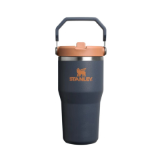 Gertuvė STANLEY CLASSIC The IceFlow (0.6 l)