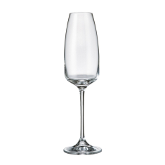 Šampanjapokaalid ALIZEE (2 tk, 290 ml)